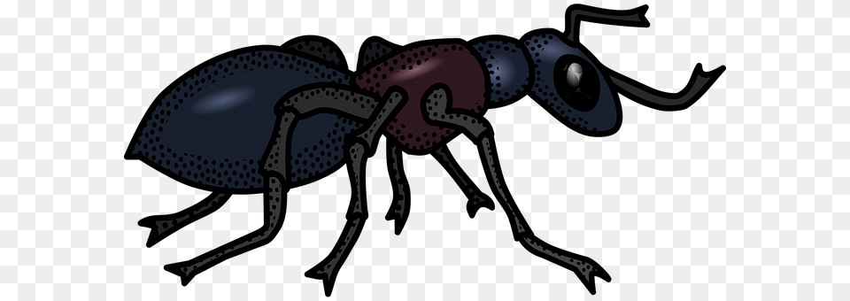 Animal Ant, Insect, Invertebrate, Appliance Png