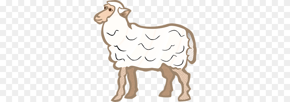Animal Livestock, Person, Mammal, Face Free Transparent Png