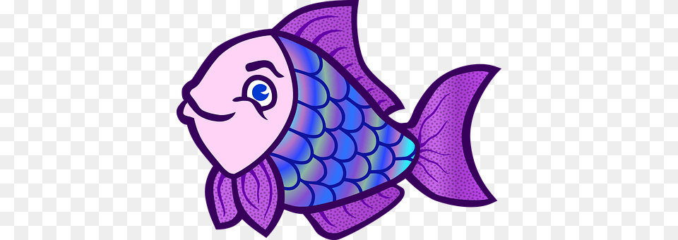 Animal Purple, Sea Life, Face, Head Free Transparent Png