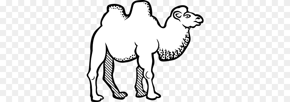 Animal Camel, Mammal, Kangaroo Png