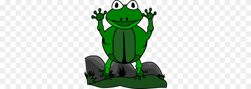 Animal Green, Amphibian, Frog, Wildlife Free Transparent Png