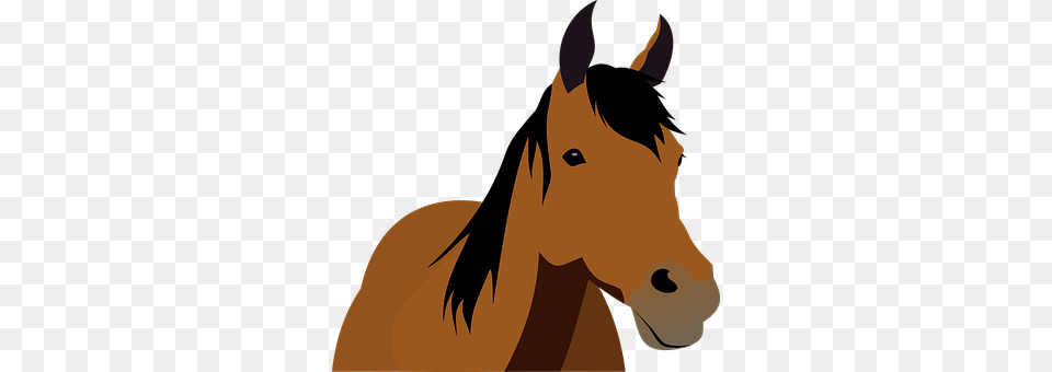 Animal Colt Horse, Horse, Mammal, Adult Free Transparent Png