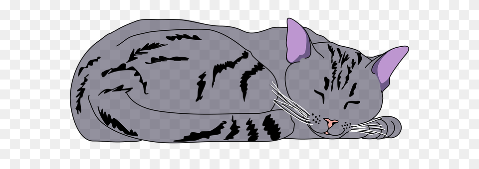 Animal Cat, Mammal, Pet, Fish Png