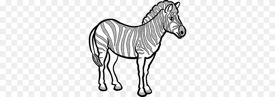 Animal Mammal, Wildlife, Zebra Free Transparent Png