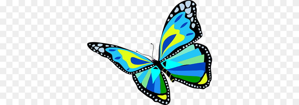 Animal Art, Graphics, Butterfly, Insect Free Png