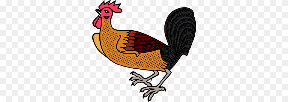 Animal Bird, Fowl, Poultry, Chicken Png Image
