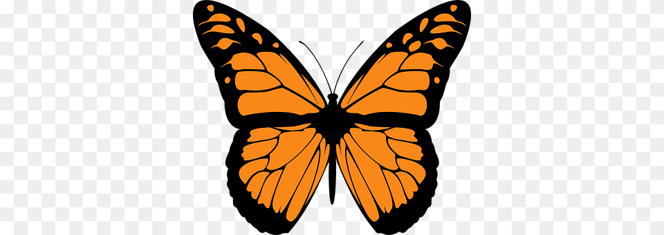 Animal Butterfly, Insect, Invertebrate, Monarch Free Png