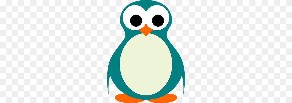 Animal Bird, Penguin Free Transparent Png