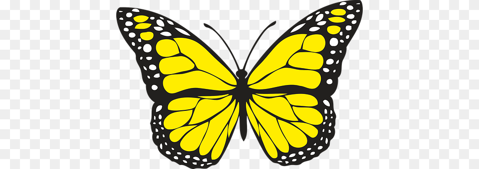 Animal Butterfly, Insect, Invertebrate, Monarch Png