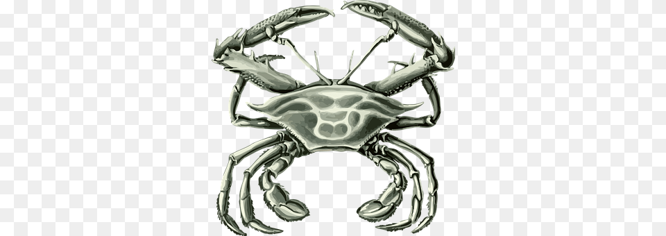 Animal Food, Seafood, Crab, Invertebrate Free Transparent Png