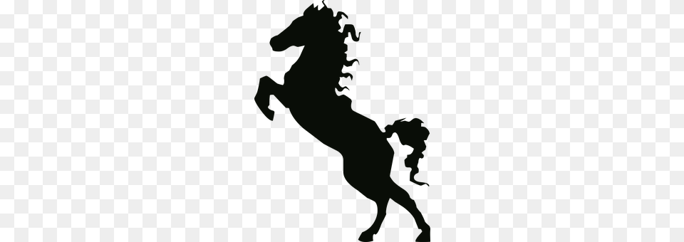 Animal Silhouette, Person, Colt Horse, Horse Png Image