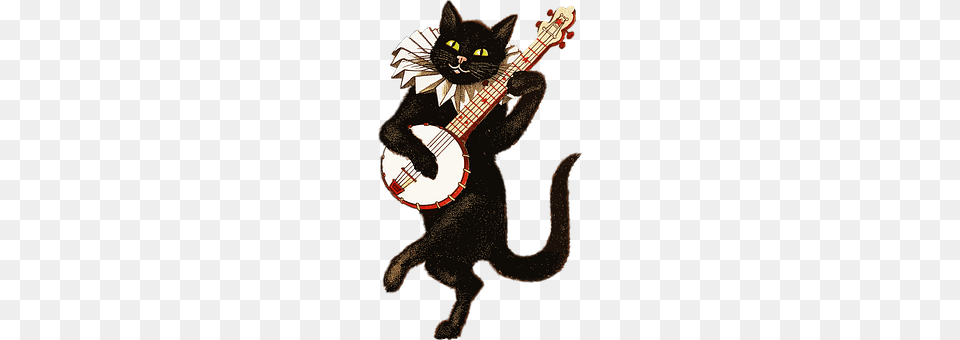 Animal Guitar, Musical Instrument, Cat, Mammal Free Png Download