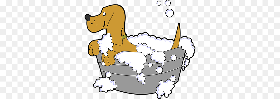 Animal Bathing, Tub, Bathtub, Person Free Png Download