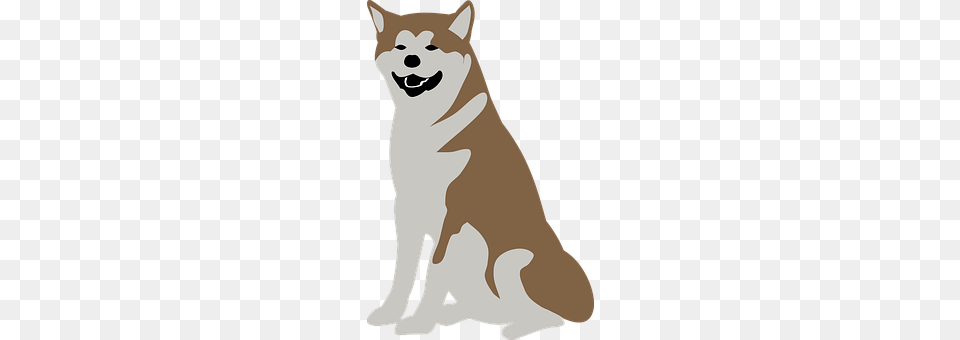 Animal Canine, Dog, Husky, Mammal Png Image