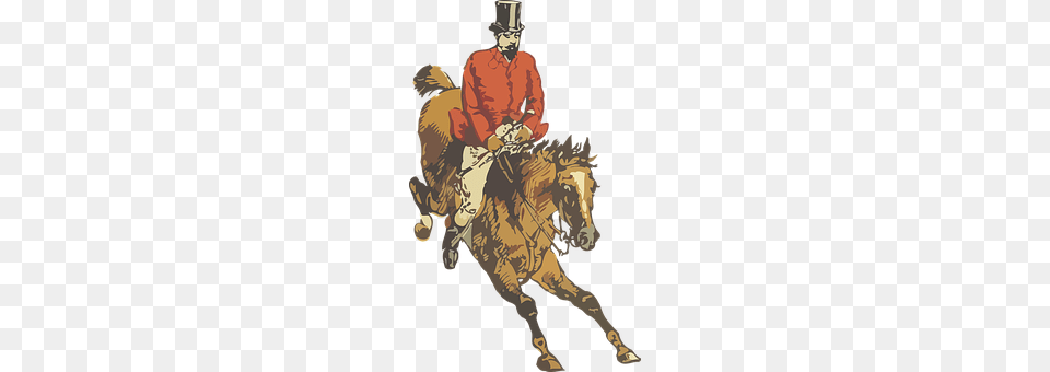 Animal Person, Mammal, Horse, Equestrian Free Png