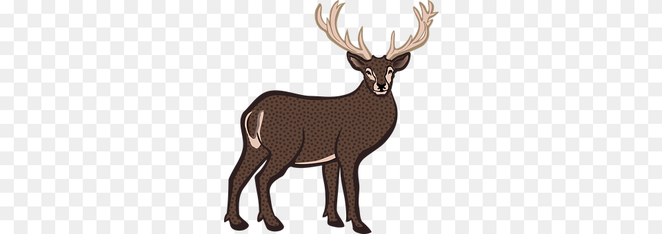 Animal Deer, Mammal, Wildlife, Elk Png Image