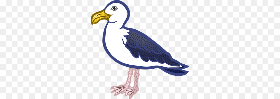 Animal Beak, Bird, Seagull, Waterfowl Free Transparent Png