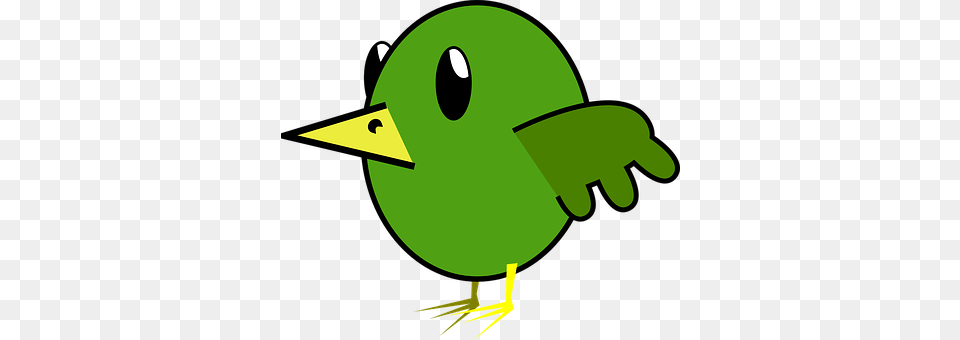 Animal Beak, Bird, Green, Astronomy Png