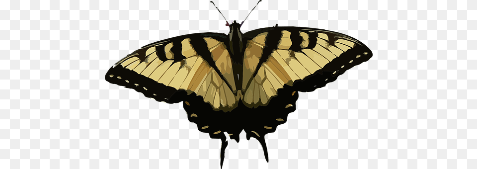 Animal Butterfly, Insect, Invertebrate, Chandelier Free Png