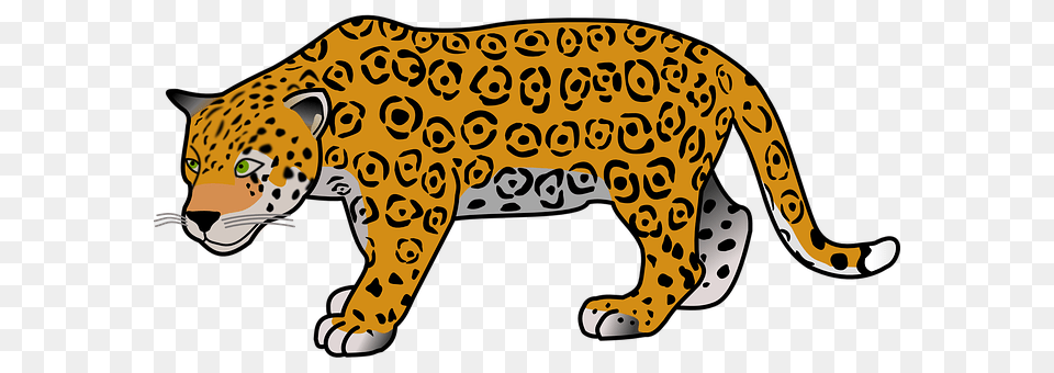 Animal Cheetah, Mammal, Wildlife, Panther Free Transparent Png