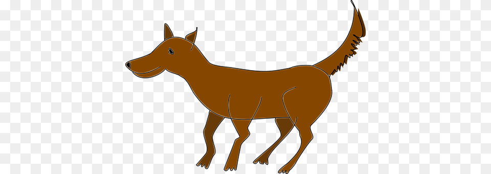 Animal Coyote, Mammal, Kangaroo, Canine Png