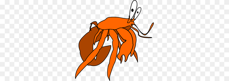 Animal Food, Seafood, Crab, Invertebrate Free Transparent Png