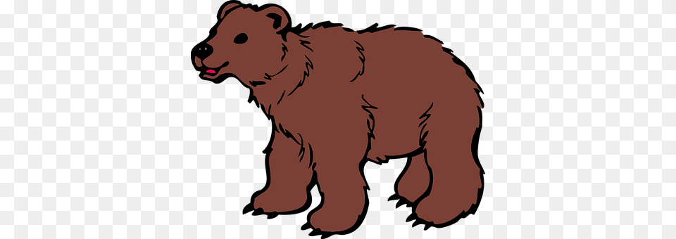 Animal Person, Wildlife, Bear, Brown Bear Free Transparent Png