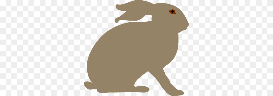 Animal Mammal, Rabbit Free Transparent Png