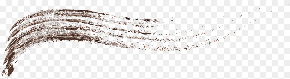Animal Png Image