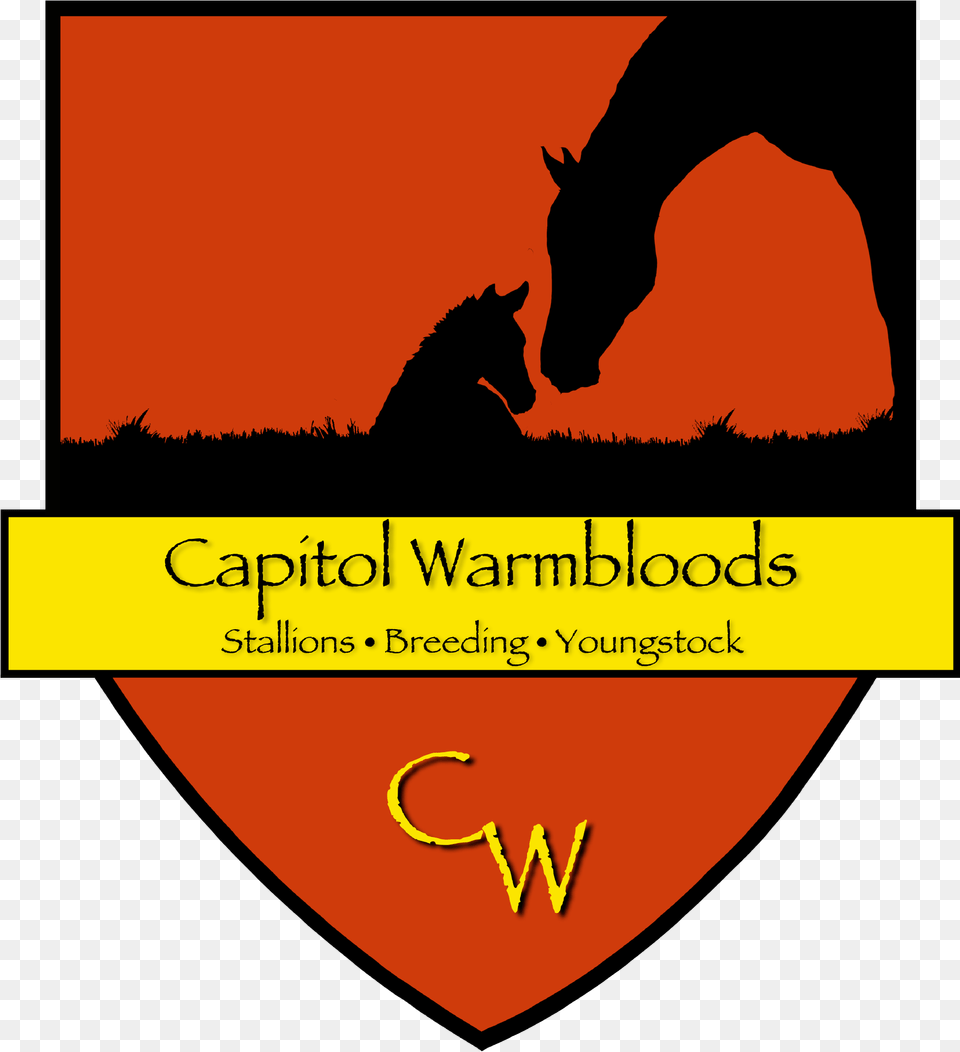 Animal, Horse, Mammal, Person Free Png