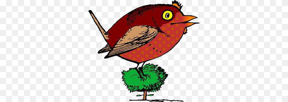 Animal Beak, Bird Png
