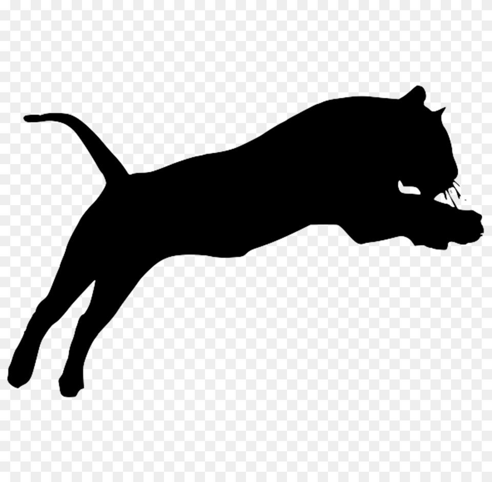 Animal, Text Free Png