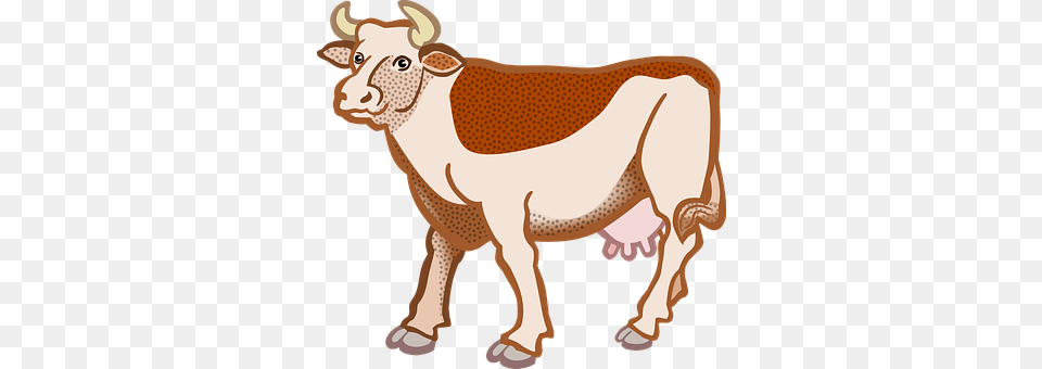 Animal Cattle, Cow, Livestock, Mammal Png Image