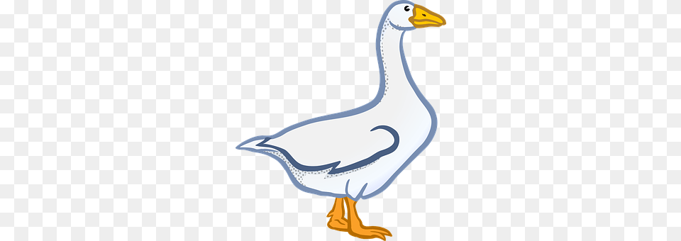 Animal Bird, Goose, Waterfowl, Dinosaur Png Image