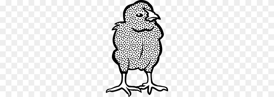 Animal Stencil, Bird, Fowl Free Transparent Png
