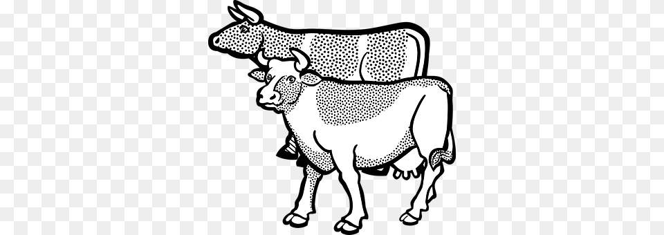 Animal Bull, Mammal, Cattle, Livestock Free Transparent Png