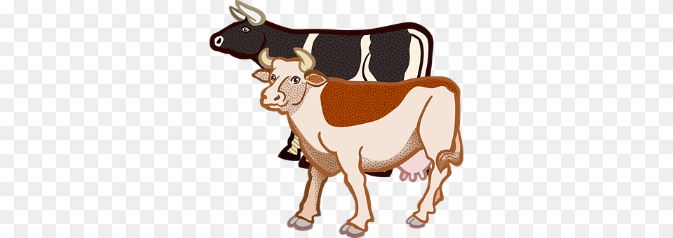 Animal Cattle, Cow, Dairy Cow, Livestock Png