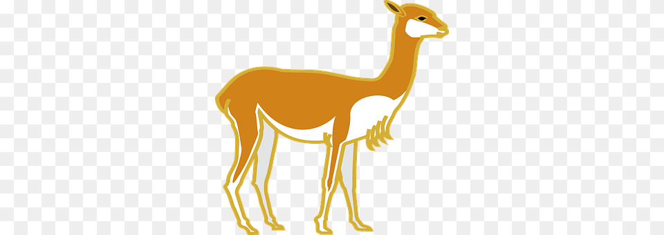 Animal Mammal, Dinosaur, Reptile, Llama Free Png Download