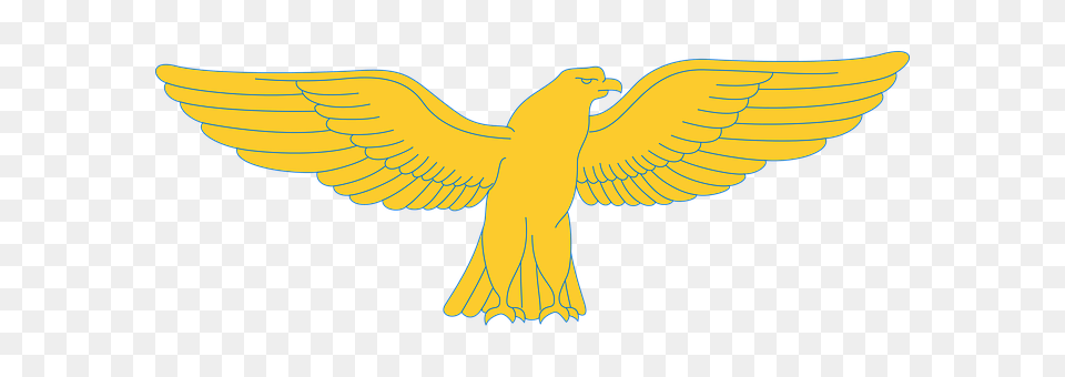 Animal Bird Png