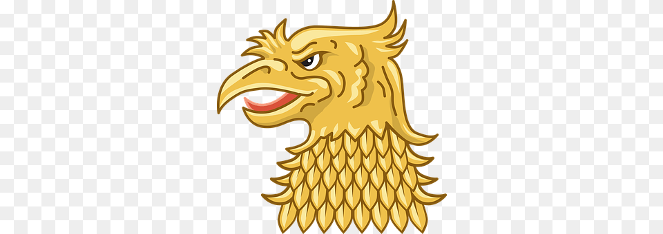 Animal Bird, Eagle, Beak Free Transparent Png