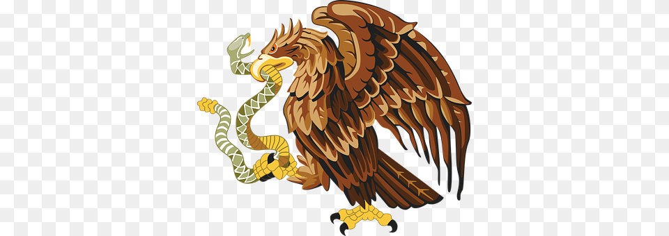 Animal Bird, Vulture, Eagle Free Transparent Png