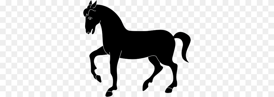 Animal Silhouette, Colt Horse, Horse, Mammal Free Transparent Png