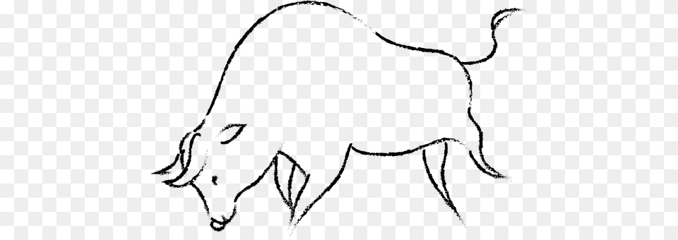 Animal Gray Png