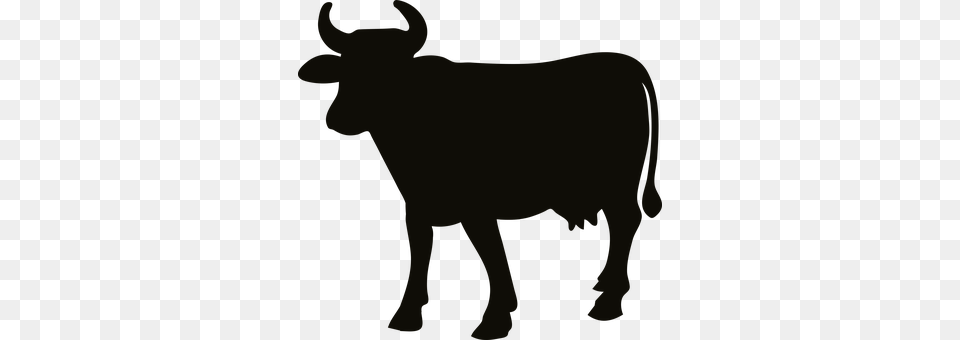 Animal Bull, Cattle, Livestock, Mammal Free Transparent Png