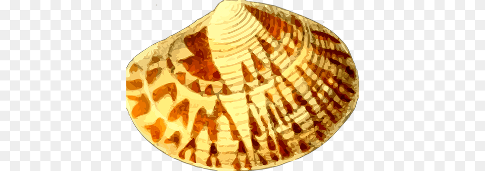 Animal Clam, Food, Invertebrate, Sea Life Png Image