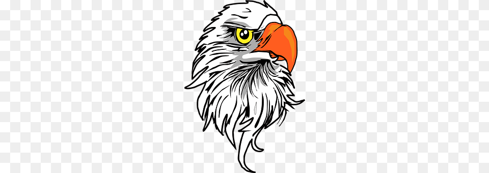 Animal Beak, Bird, Eagle, Person Free Png