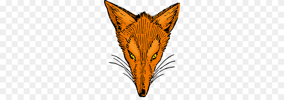 Animal Fox, Mammal, Wildlife, Tiger Free Transparent Png