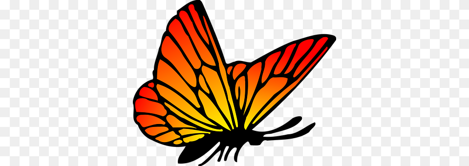 Animal Butterfly, Insect, Invertebrate, Monarch Free Transparent Png