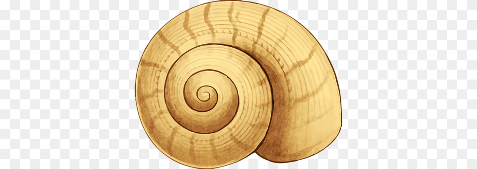 Animal Spiral, Plate, Coil Png Image