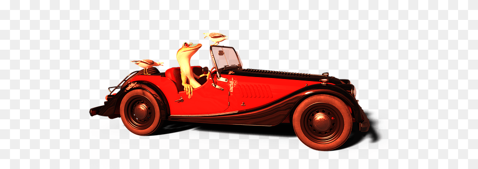 Animal Car, Vehicle, Transportation, Adult Png